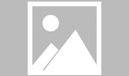 蛇视频动物世界,动物世界中的神秘蛇族传奇